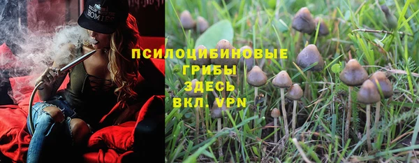 Альфа ПВП Богданович