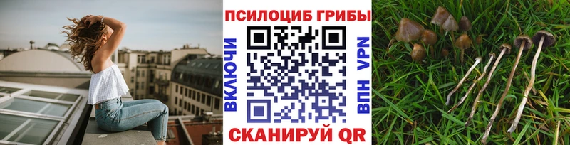 Псилоцибиновые грибы мухоморы  Эртиль 